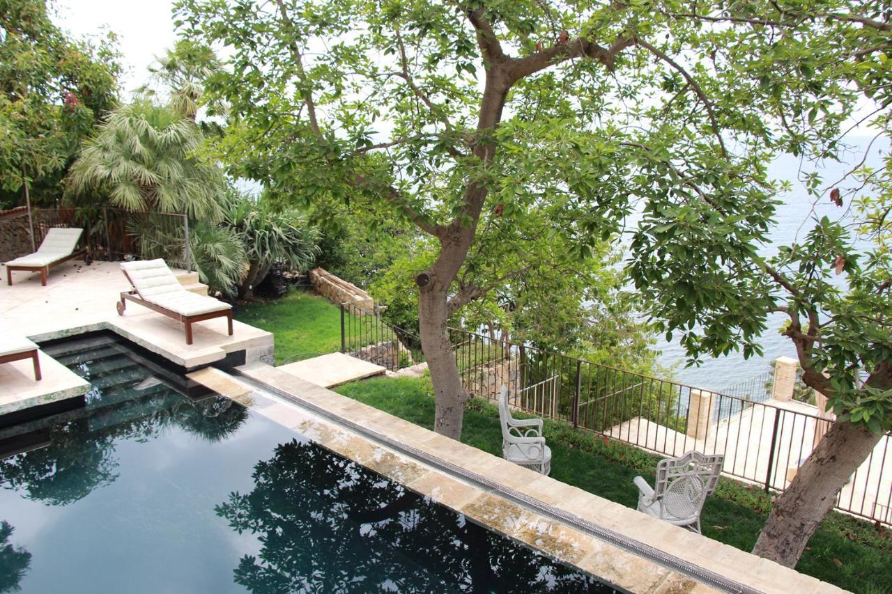 El Jardin Botanico Villa Luz Altea Luaran gambar