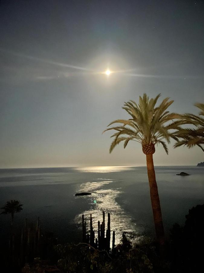 El Jardin Botanico Villa Luz Altea Luaran gambar