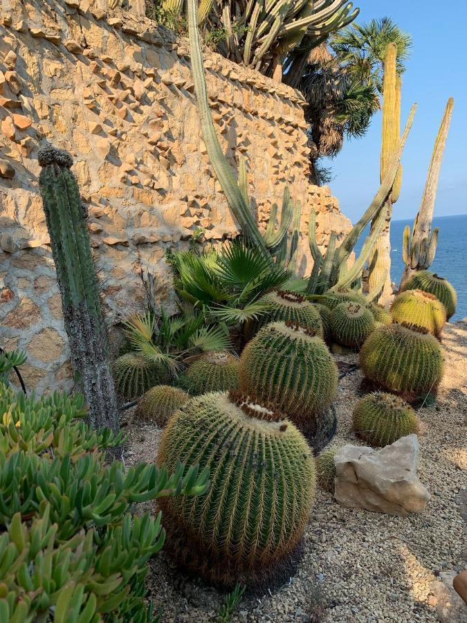 El Jardin Botanico Villa Luz Altea Luaran gambar